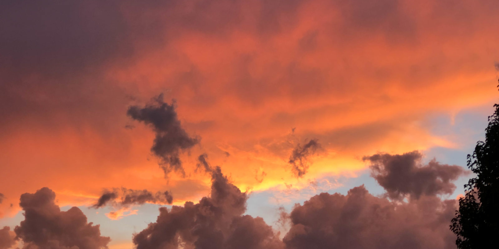 jim-west-collierville-tn-action-11