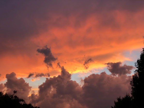 jim-west-collierville-tn-action-11