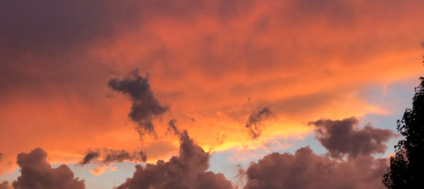 jim-west-collierville-tn-action-11