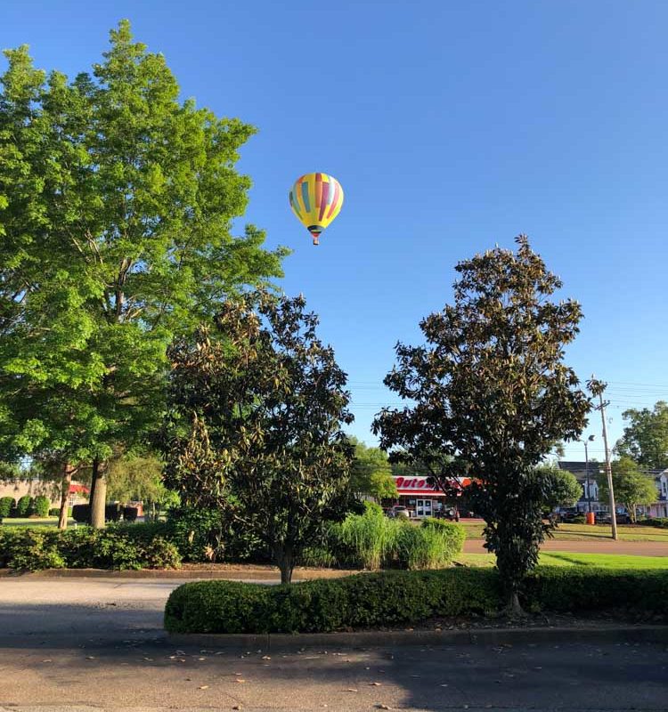 Jim-west-collierville-tn-action-shots-6