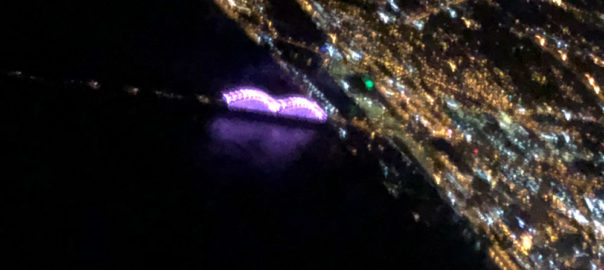 Jim-west-collierville-tn-landscape-16